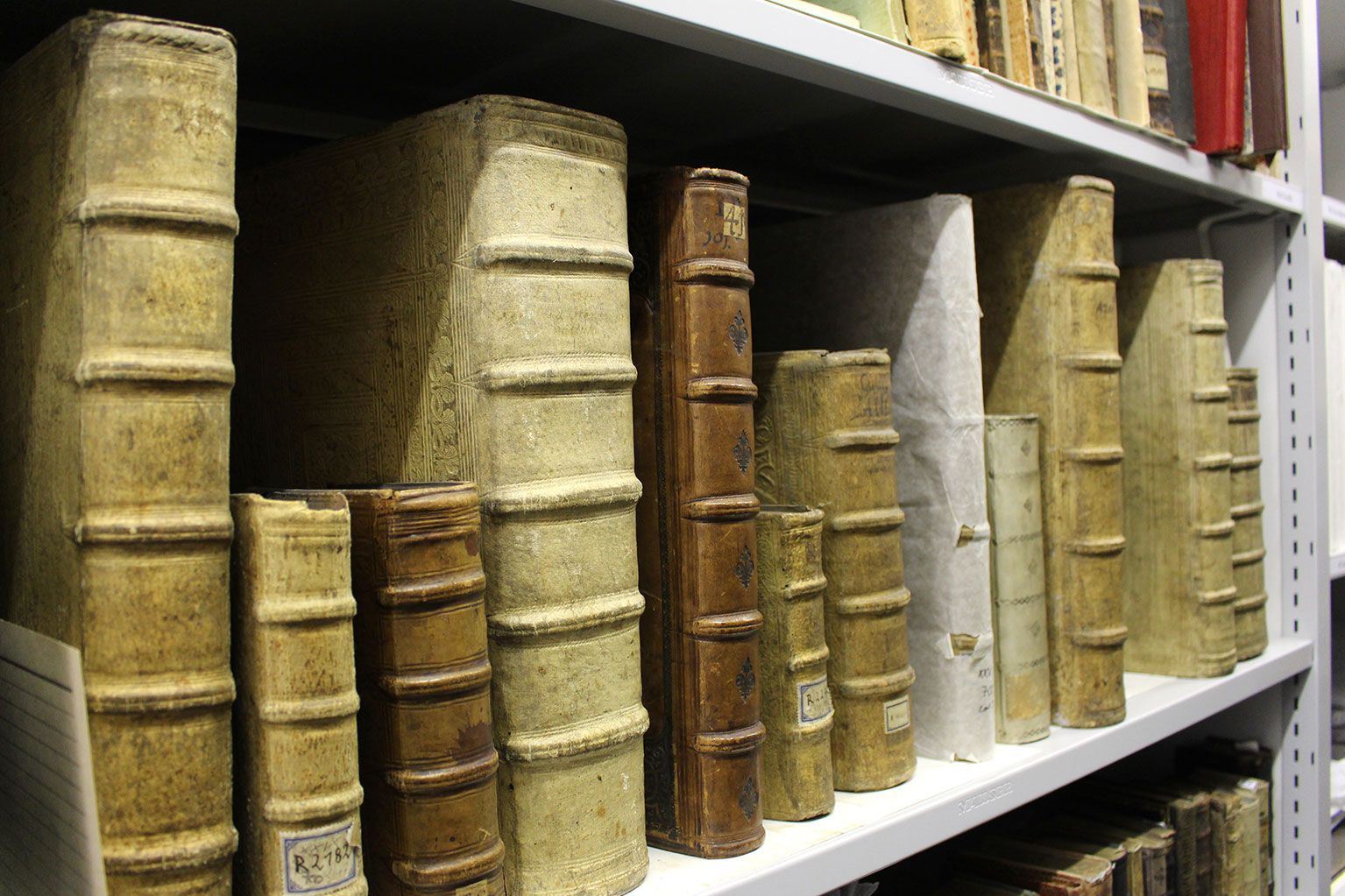 publikationen-IMG_5519