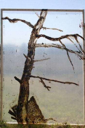 Am Milkeler Teich 200 x 150 Bitumen auf Folie